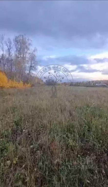 Участок в Свердловская область, Белоярский городской округ, д. Гусева  ... - Фото 1