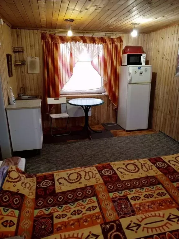 Дом в Новгородская область, Любытинское с/пос, д. Чисть  (50 м) - Фото 1