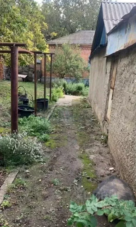 Дом в Ростовская область, Ростов-на-Дону ул. Вавилова (90 м) - Фото 1