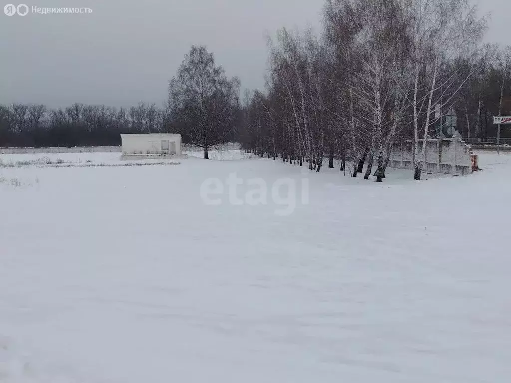 Участок в Белгородская область, Новооскольский муниципальный округ, ... - Фото 2