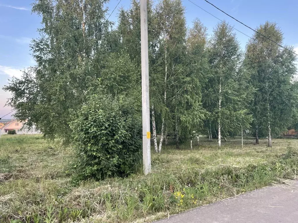 Участок в Нижегородская область, с. Дивеево ул. Некрасова, 27 (11.0 ... - Фото 2