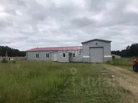 Склад в Калужская область, Юхновский район, Беляево с/пос, д. Беляево ... - Фото 1