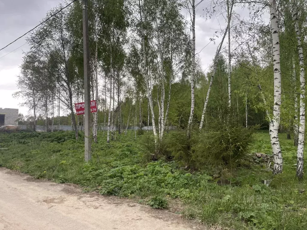 Участок в Московская область, Рузский муниципальный округ, пос. ... - Фото 1