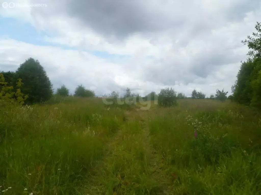 Участок в деревня Суйсарь, Молодёжная улица (9091 м) - Фото 2