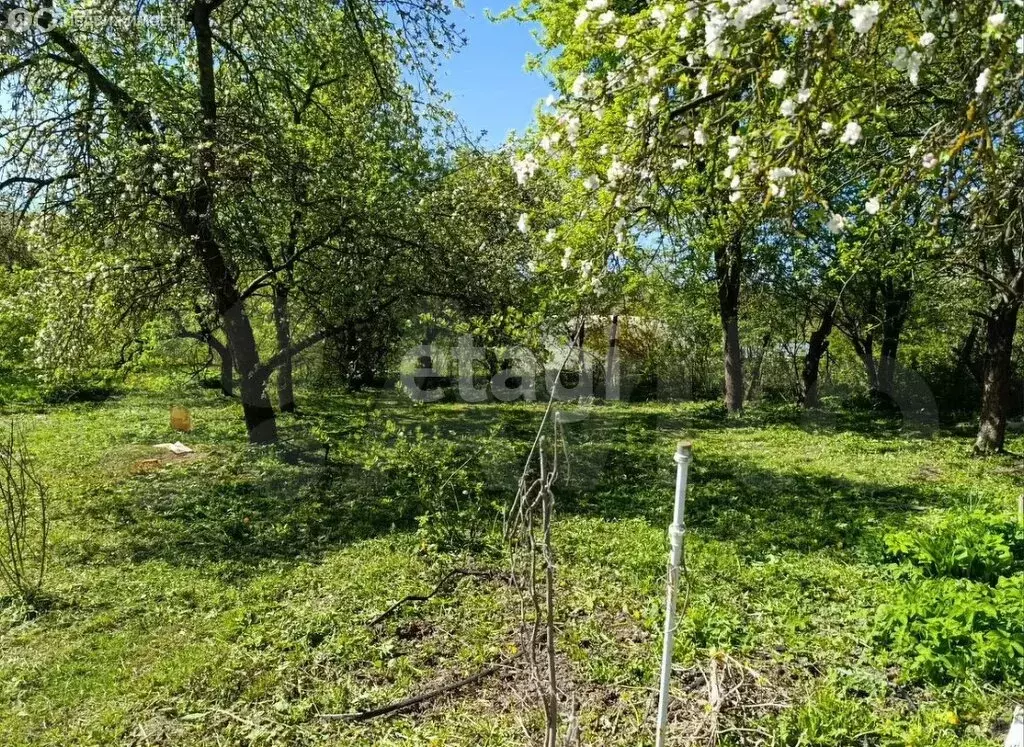 Участок в Калининградская область, Советск (12.35 м) - Фото 1