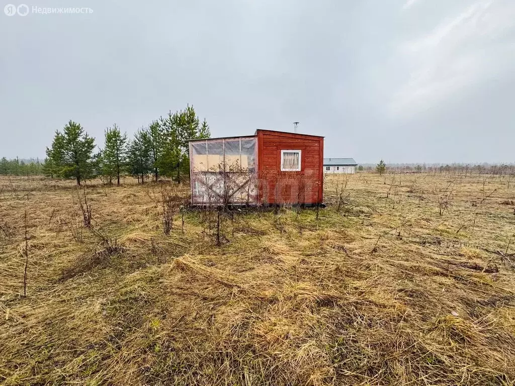 Участок в Пермский муниципальный округ, посёлок Красный Восход (20.55 ... - Фото 2