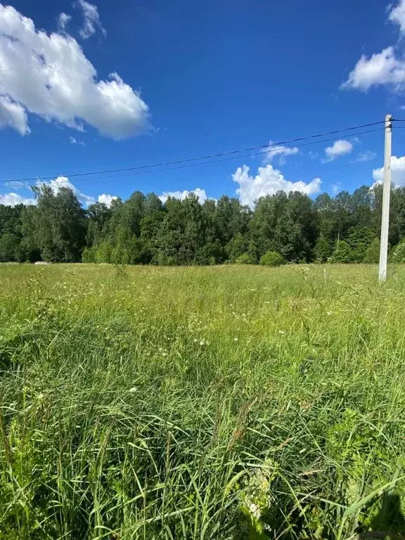 Участок в Калужская область, Калуга городской округ, д. Лихун 275 ... - Фото 2