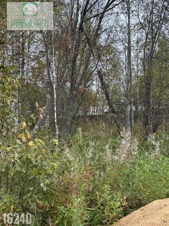 Участок в Архангельская область, Приморский муниципальный округ, ... - Фото 1