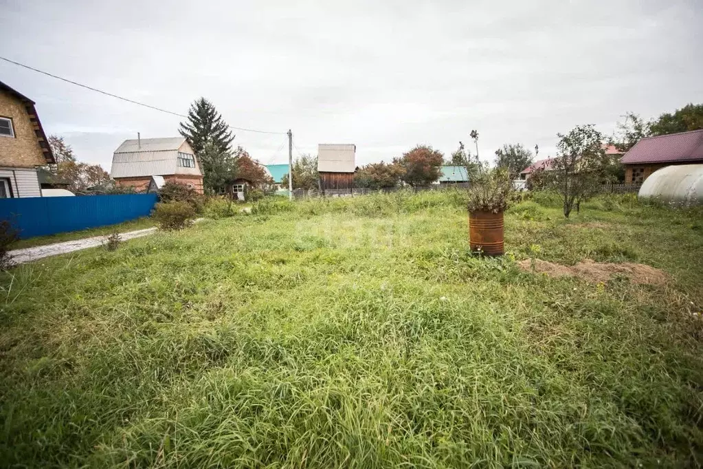 Участок в Новосибирская область, Искитим Дружба садовое товарищество, ... - Фото 0