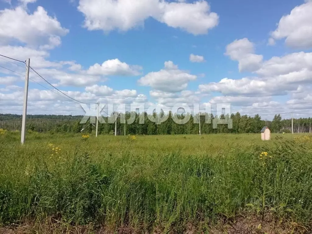 Участок в Алтайский край, Косихинский район, с. Плотниково  (8.0 сот.) - Фото 1