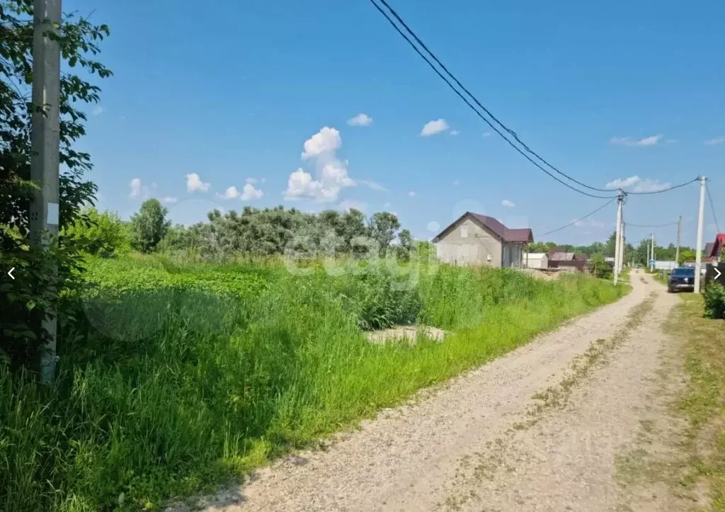 Участок в Амурская область, Благовещенский район, Медовая тер. проезд ... - Фото 1