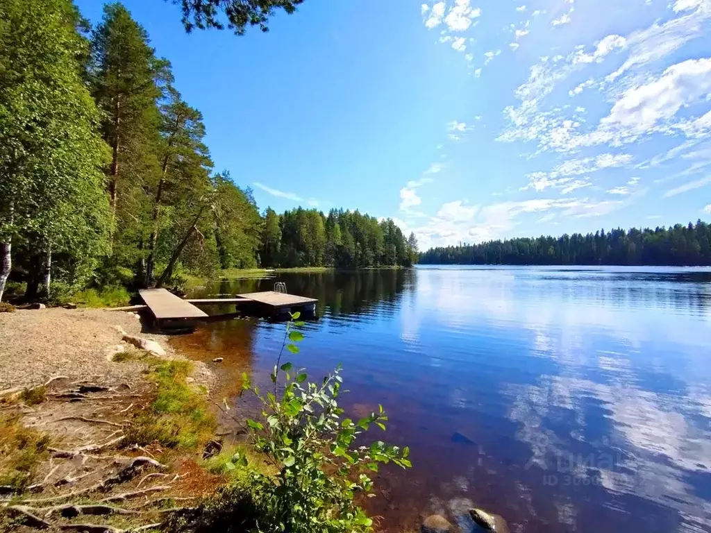 Участок в Карелия, Прионежский район, Нововилговское с/пос, ... - Фото 1