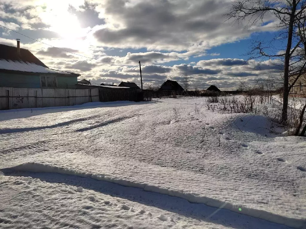 Участок в Новгородская область, Новгородский район, Борковское с/пос, ... - Фото 1