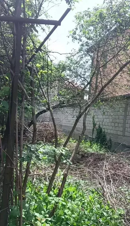 Дом 67 м на участке 8 сот. - Фото 0