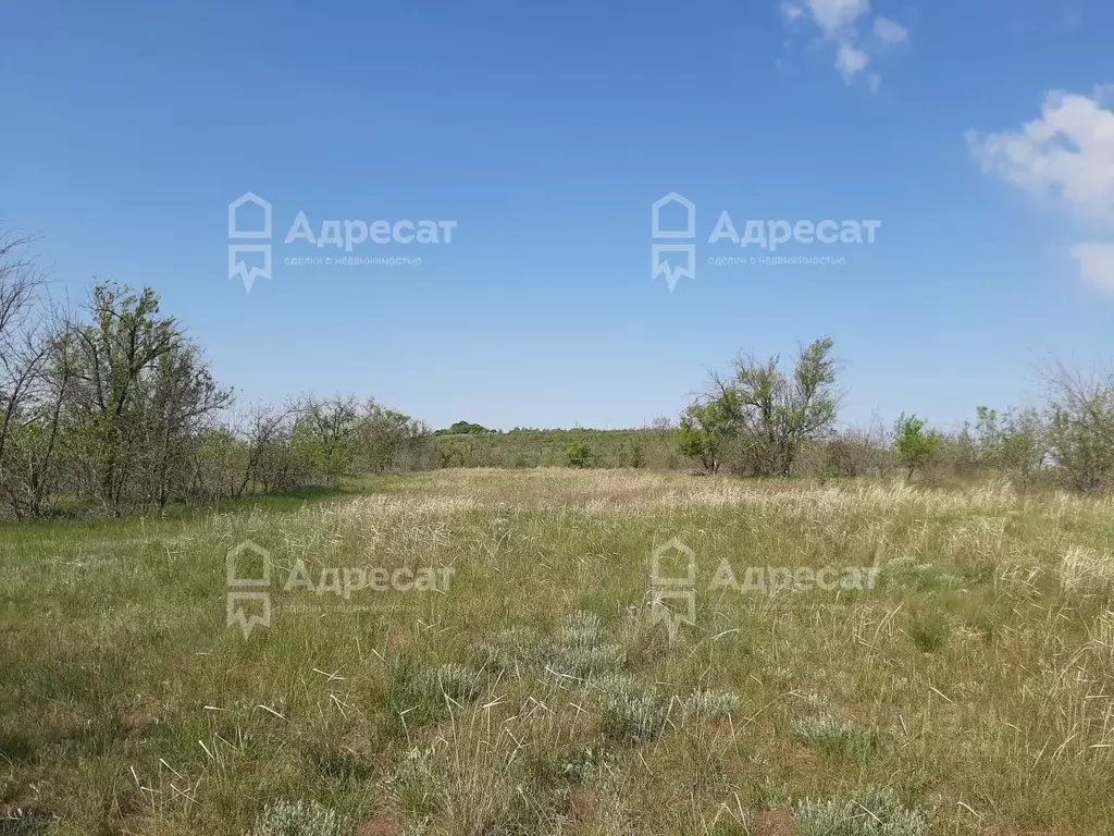 Участок в Волгоградская область, Городищенский район, Царицынское ... - Фото 0