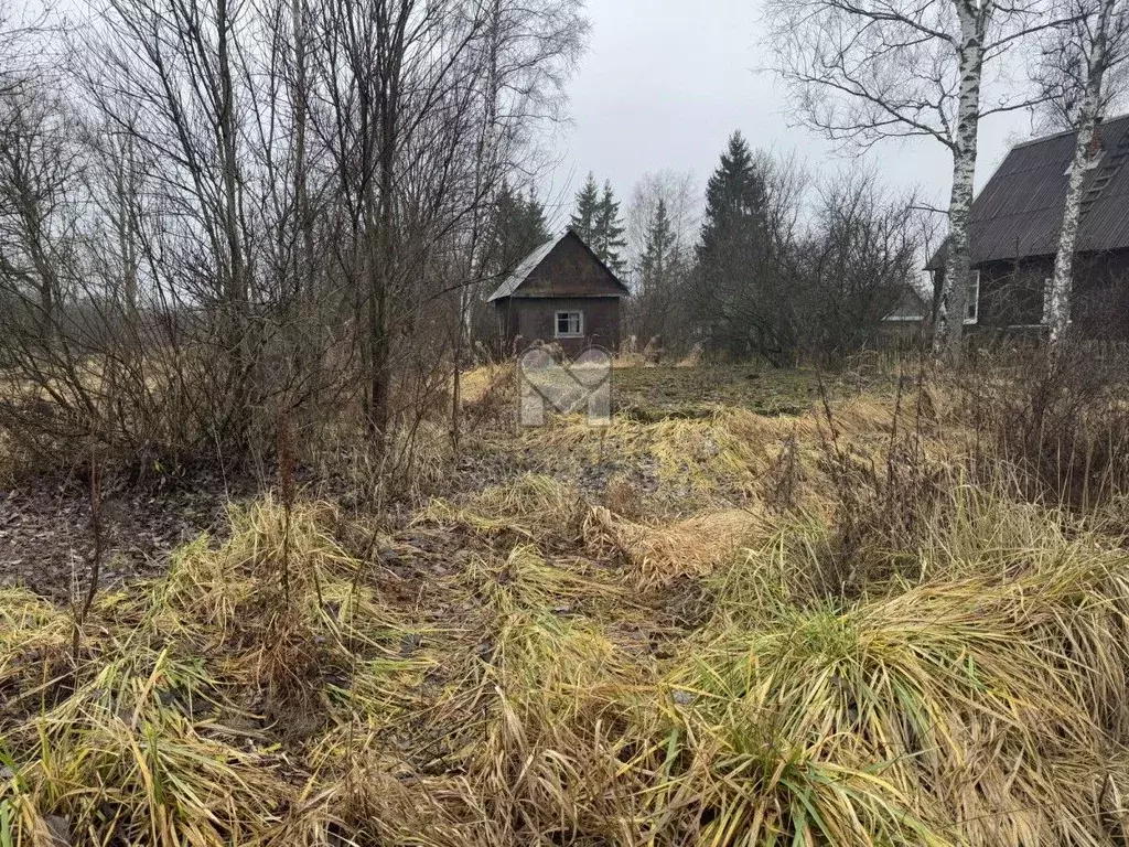 Участок в Ленинградская область, Тосненский район, Рябовское городское ... - Фото 1