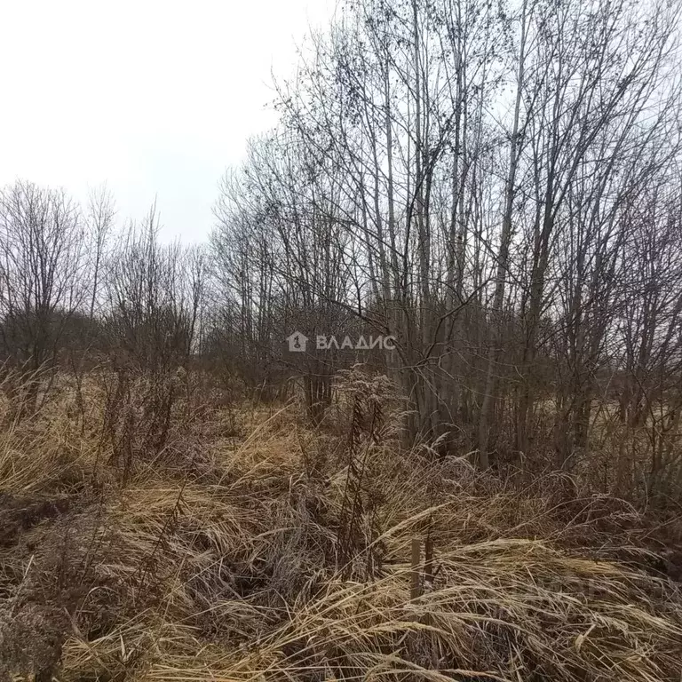 Участок в Владимирская область, Собинский муниципальный округ, ... - Фото 2