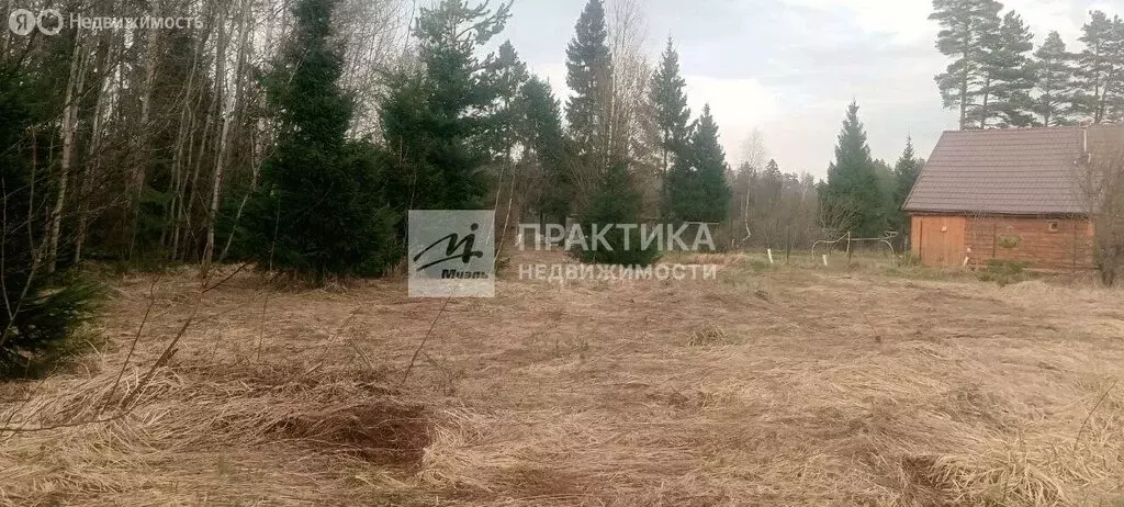 Участок в Московская область, Раменский муниципальный округ, КП ... - Фото 1