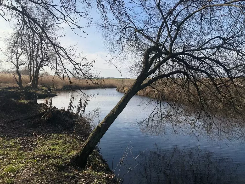 Участок в Краснодарский край, муниципальный округ Анапа, хутор Уташ ... - Фото 1