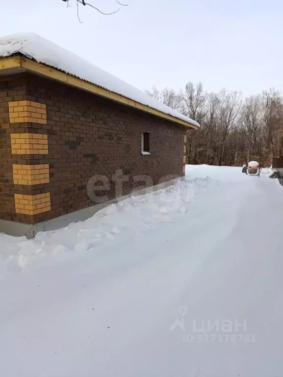 Дом в Амурская область, Благовещенский район, с. Кантон-Коммуна  (75 ... - Фото 0