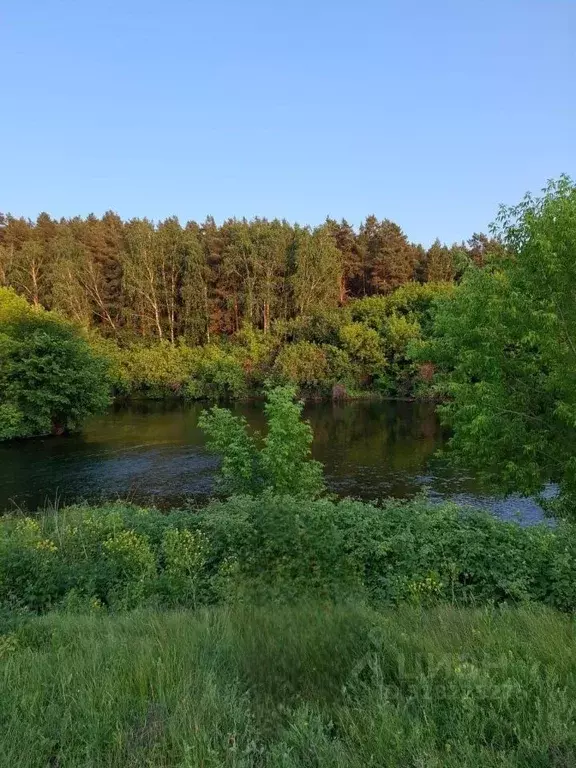 Участок в Челябинская область, Сосновский муниципальный округ, ... - Фото 1