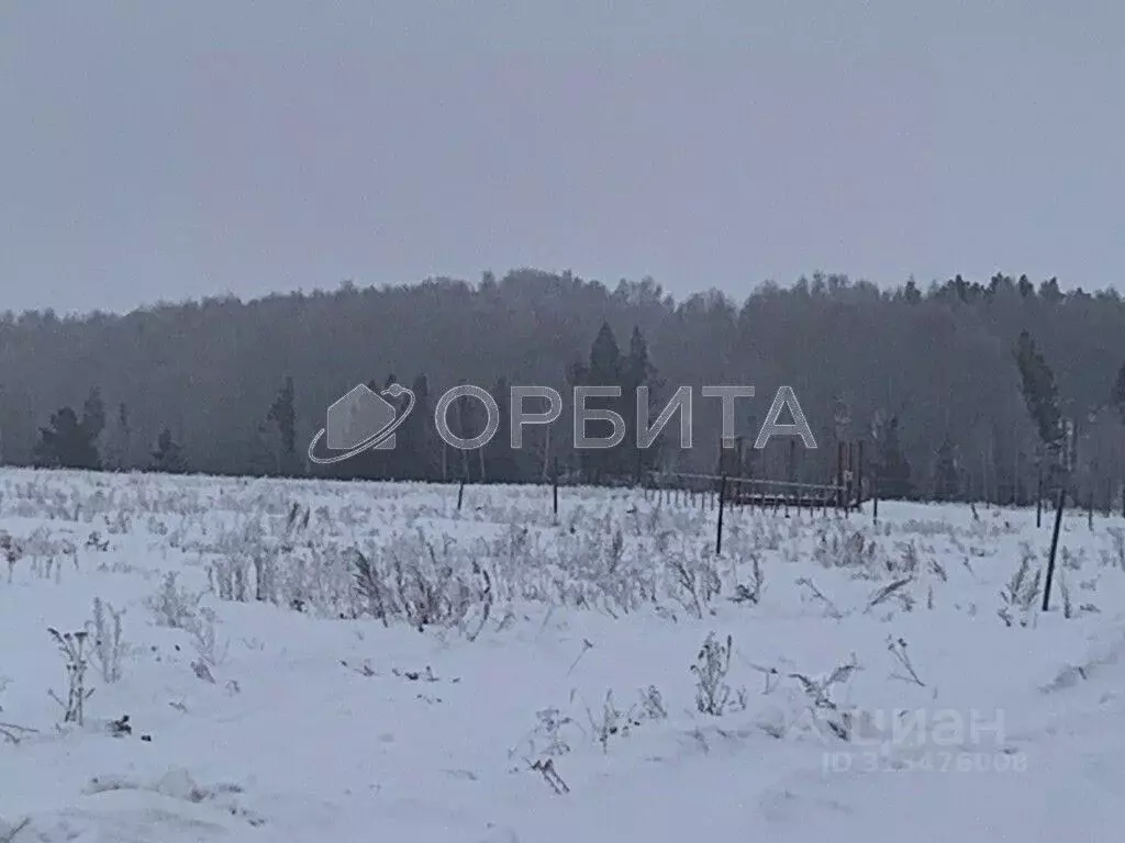 Участок в Тюменская область, Тюменский район, д. Марай ул. Сибирская ... - Фото 0