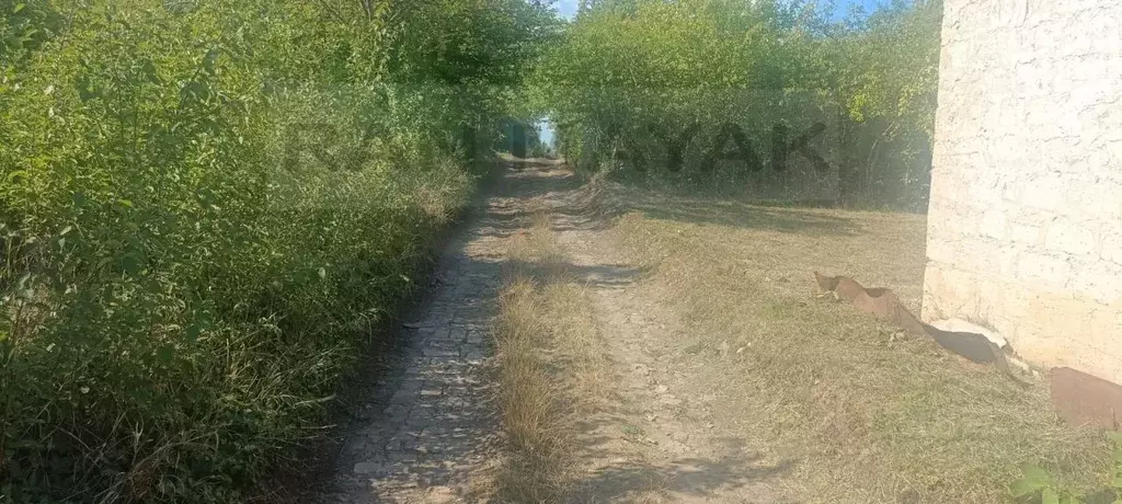 Участок в Адыгея, Майкоп пл. Ленина (4.0 сот.) - Фото 2