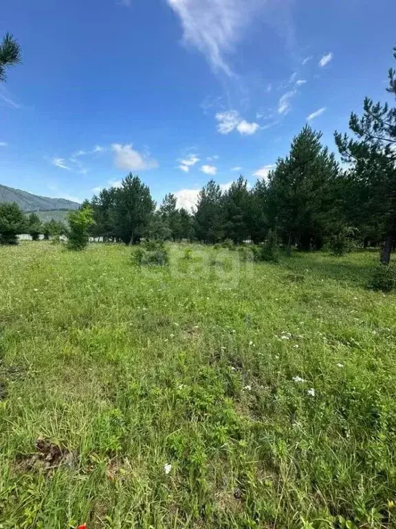 Участок в Алтай, Чемальский район, с. Анос  (34.0 сот.) - Фото 1