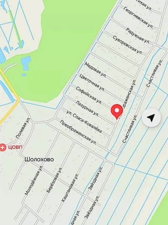 Участок в Новгородская область, Новгородский район, Савинское с/пос, ... - Фото 1