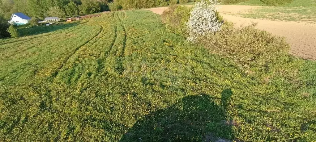 Участок в Вологодская область, пос. Огарково  (7.5 сот.) - Фото 2