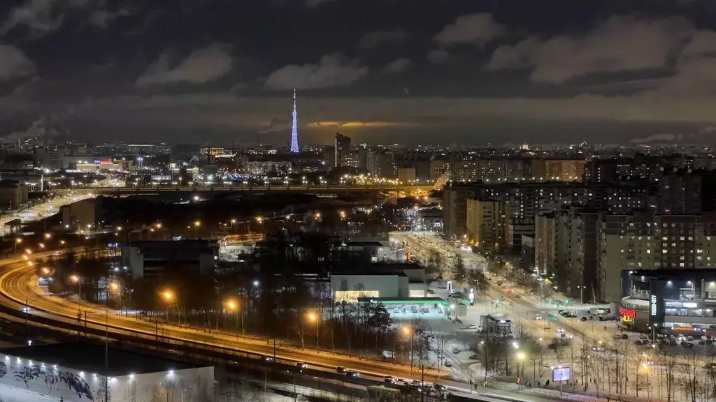 1-к кв. Санкт-Петербург Мебельная ул., 47к1 (44.5 м) - Фото 2