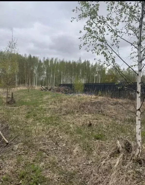 Участок в Нижегородская область, Кстово ул. Коновалова (10.0 сот.) - Фото 1