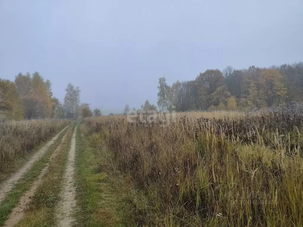 Участок в Калужская область, Калуга городской округ, д. Лихун ул. ... - Фото 0