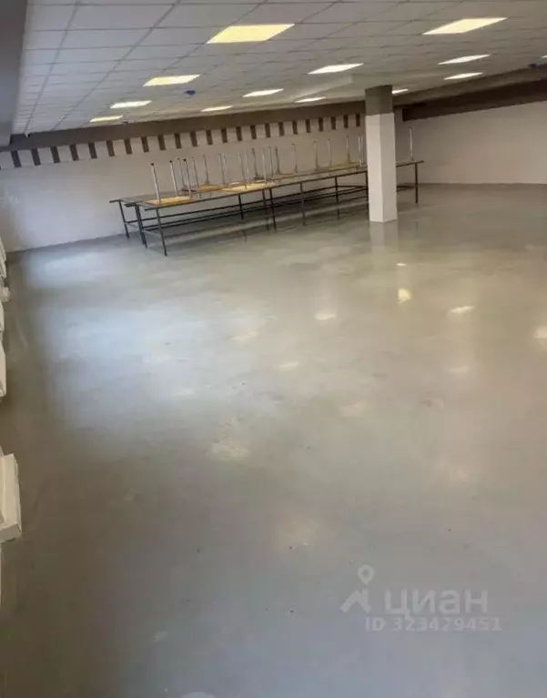 Помещение свободного назначения в Московская область, Реутов Лесная ... - Фото 1