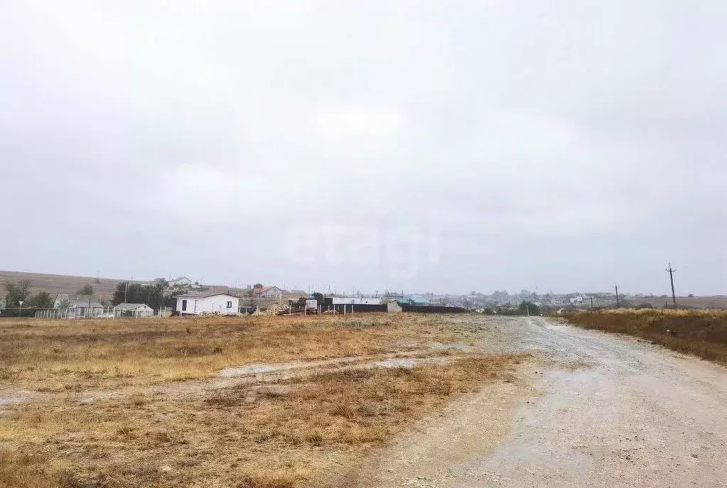 Участок в Крым, Черноморский район, Оленевское с/пос, с. Калиновка ул. ... - Фото 1