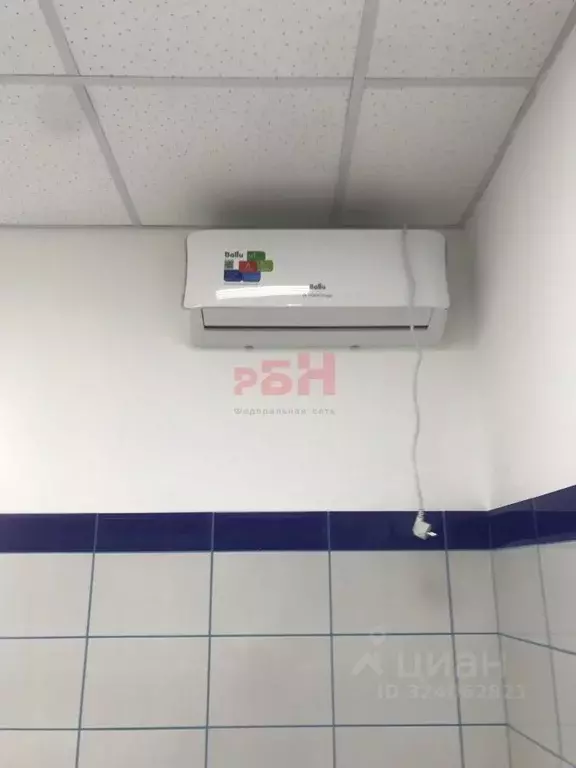 Офис в Курганская область, Курган ул. Пичугина, 9 (16 м) - Фото 2