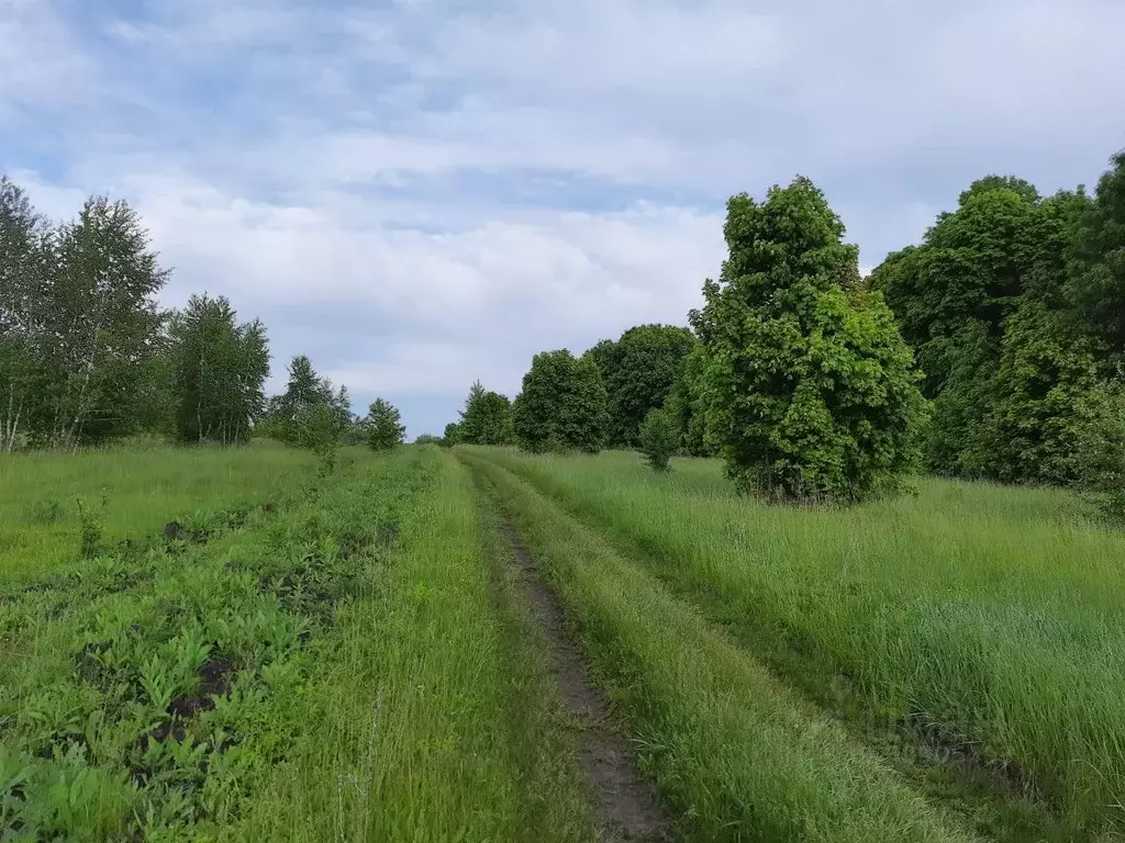 Турдей Тульская область. Карьер Турдей Тульская область.