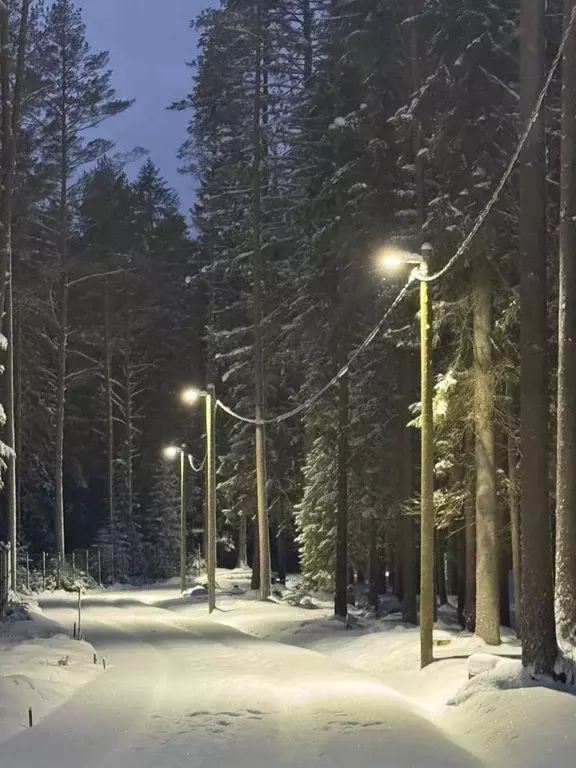 Участок в Санкт-Петербург пос. Репино, Финляндская ул., 11 (50.0 сот.) - Фото 1