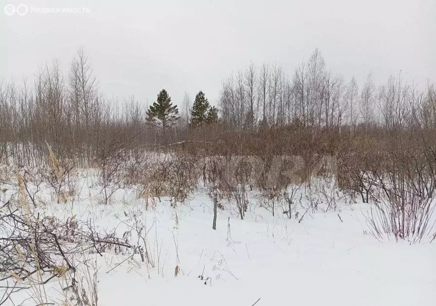 Участок в Тюменский район, ТСН СО Надежда (10 м) - Фото 0