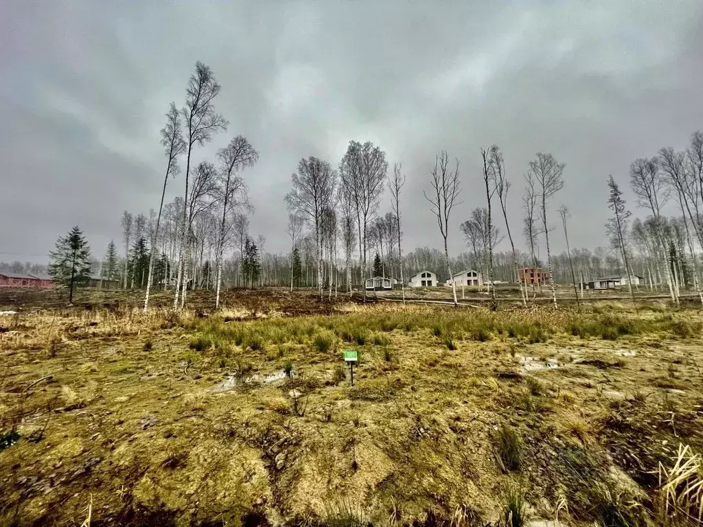 Участок в Ленинградская область, Всеволожский район, Токсовское ... - Фото 1