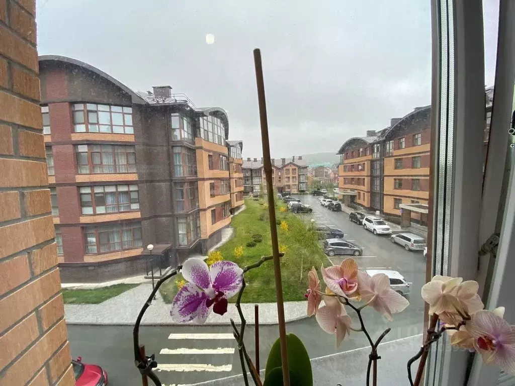 3-к кв. Сахалинская область, Южно-Сахалинск Ветеранская ул., 16к12 ... - Фото 1