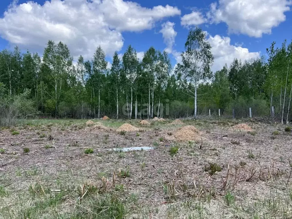 Участок в Тюменская область, Тюмень Светлое садовое товарищество,  ... - Фото 0