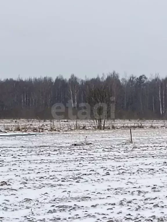Участок в Калужская область, Медынский район, Михеево с/пос, д. ... - Фото 2
