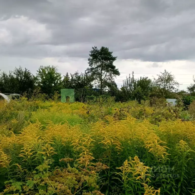 Участок в Орловская область, Орел Песчаный Берег СНТ, 181 (6.2 сот.) - Фото 1