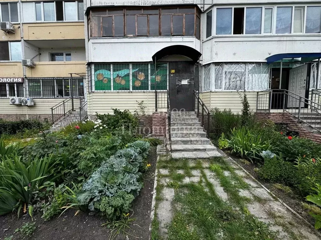 Помещение свободного назначения в Ульяновская область, Ульяновск ул. ... - Фото 1