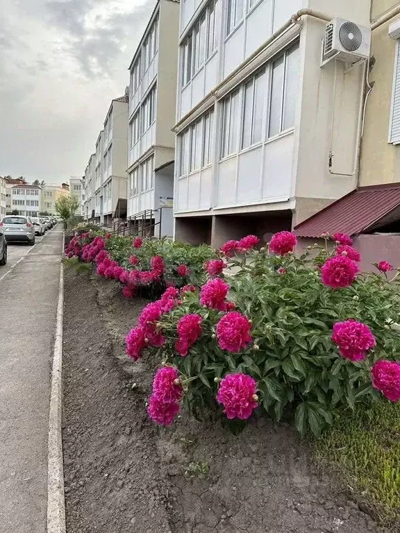 1-к кв. Самарская область, Самара Демократическая ул., 170 (35.5 м) - Фото 0