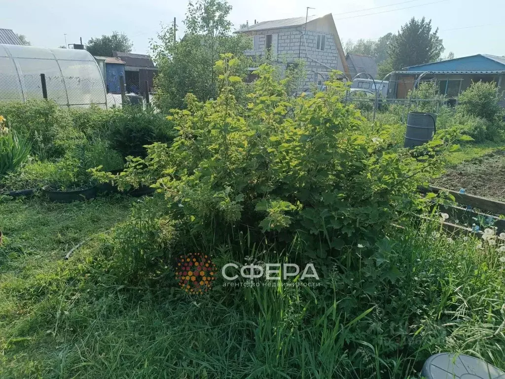 Дом в Новосибирская область, Бердск Вега-3 СНТ, 404 (30 м) - Фото 1