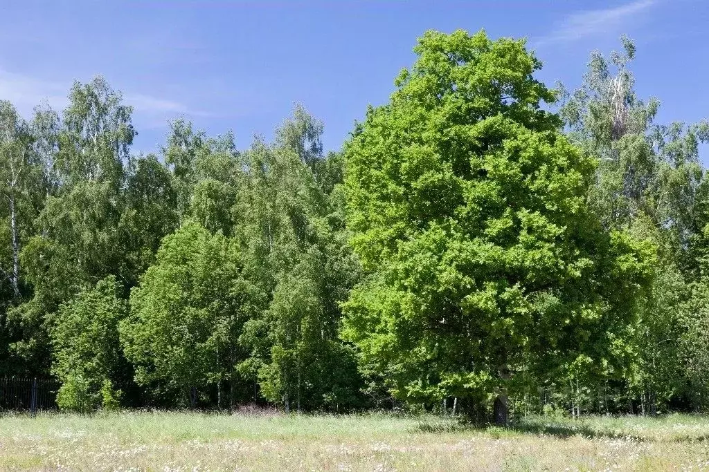 Участок в Московская область, Красногорск городской округ, д. ... - Фото 0