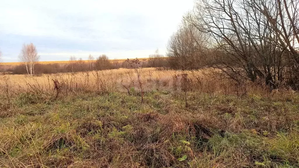 Участок в Мордовия, Большеберезниковский район, с. Нерлей Центральная ... - Фото 0