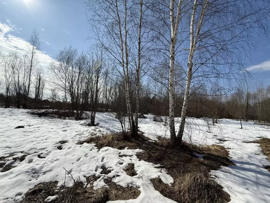 Участок в Московская область, Клин городской округ, Сокол СНТ 418 ... - Фото 2